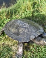 Close-Up of Antique Gold Finish