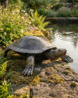 Cast Aluminium "Free Roam" Turtle Garden Sculpture