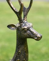 Close-Up of Deer Antlers for Cast Aluminium "Chiral" Freestanding Spotted Deer Garden Sculpture