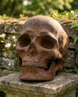 Cast Aluminium Dark Rustic Skull Ornament Digital Illustration Cast Aluminium Dark Rustic Skull Ornament Digital Illustration