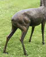 Standing Doe sculpture Left facing hind legs Standing Doe sculpture Left facing hind legs