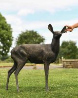 Scale Shot of Cast Aluminium Doe Sculpture - Facing Right