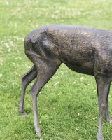 Close-Up of Antique Bronze Finish on Cast Aluminium Doe Sculpture - Facing Right