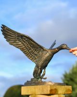 Cast Aluminum Flying Duck Garden Sculpture Scale Shot