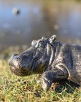Cast Aluminium Harriet Hippo Garden Sculpture close up
