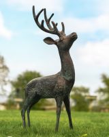 Cast Aluminium "Jasper" Head Up Stag in Verdigris