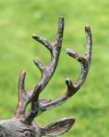 Cast Aluminium "Jasper" Head Up Stag in Verdigris Antlers