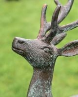 Cast Aluminium "Jasper" Head Up Stag in Verdigris Face Detail