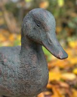 Close Up Of The Face From The Verdigris Duck Sculpture Close Up Of The Face From The Verdigris Duck Sculpture