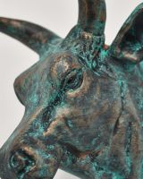 Bull Wall Bust close Up Details