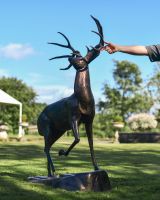 Cast Aluminum "Farnam" Stag on Rock Garden Sculpture with Hand for Scale