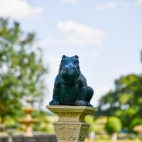 Cast Iron Black Hippo Sculpture in Use in the Garden Cast Iron Black Hippo Sculpture in Use in the Garden