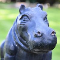 Close-up of the Head of the Hippo Sculpture Close-up of the Head of the Hippo Sculpture
