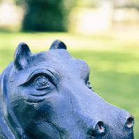 Close-up of the Black Finish on the Cast Iron Black Hippo Sculpture Close-up of the Black Finish on the Cast Iron Black Hippo Sculpture