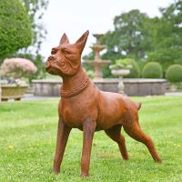 Cast Iron Boxer Dog Sculpture in Situ