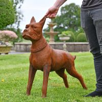 Cast Iron Boxer Dog Sculpture to Scale
