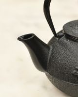 Black Cast iron Spout on Teapot 