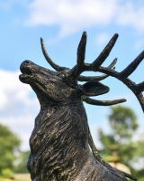 Cast Iron Evander Stag Sculpture in Antique Gold Head Detail
