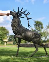Cast Iron Evander Stag Sculpture in Antique Gold with Hand for Scale