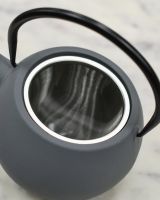 Close up of tea strainer detail on cast iron grey japanese style teapot Close up of tea strainer detail on cast iron grey japanese style teapot