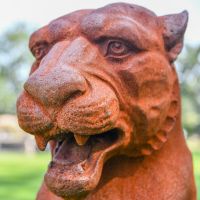 Close-up of the Face of the Cast Iron Rustic Jaguar Bust Close-up of the Face of the Cast Iron Rustic Jaguar Bust