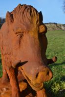 “Brockton” Cast Iron Rustic Wild Boar  “Brockton” Cast Iron Rustic Wild Boar