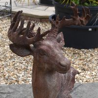 Close-up of the Cast Iron Stag 