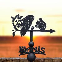 Cast Iron & Steel "Nutty" Owl & Squirrel Weathervane in Situ