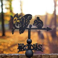 Cast Iron & Steel Weathervane with "Nutty" Owl & Squirrel Topper