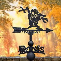 Cast Iron & Steel Cartoon Tasmanian Devil Weathervane in Situ