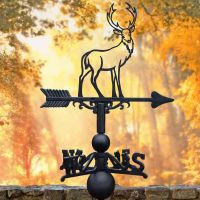 Cast Iron & Steel Contemporary Stag Weathervane in Situ