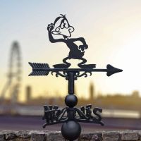 Cast Iron & Steel Weathervane with Daft Duck Cartoon Motif