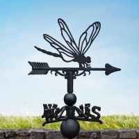 Cast Iron & Steel Dragonfly Weathervane in Situ