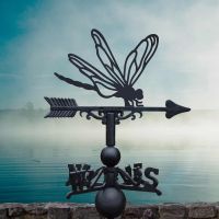 Cast Iron & Steel Weathervane with Dragonfly Topper
