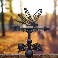 Cast Iron & Steel Weathervane with Dragonfly Motif