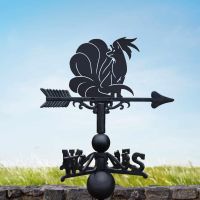 Cast Iron & Steel Weathervane with Generation I Fox Character Topper