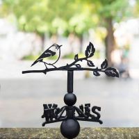 Cast Iron & Steel Weathervane with Goldcrest Motif