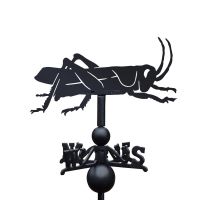 Close-Up of Grasshopper Topper