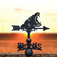 Cast Iron & Steel Hippo Head Weathervane in Situ