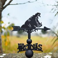 Cast Iron & Steel Weathervane with Hippo Head Motif