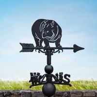 Cast Iron & Steel Weathervane with Hippo Motif