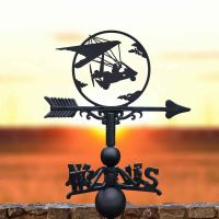 Cast Iron & Steel Weathervane with Microlight Motif