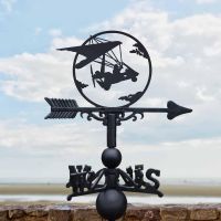 Cast Iron & Steel Microlight Weathervane
