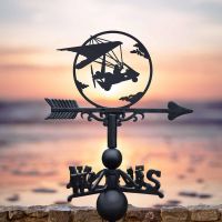 Cast Iron & Steel Microlight Weathervane in Situ