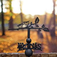 Cast Iron & Steel Weathervane with Pair of Nuthatches Topper