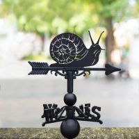 Cast Iron & Steel Snail Weathervane in Situ Cast Iron & Steel Snail Weathervane in Situ