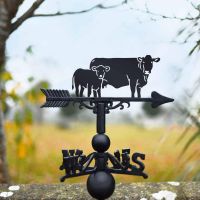 Cast Iron & Steel South Devon & Calf Weathervane in SItu