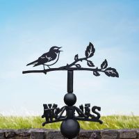 Cast Iron & Steel Weathervane with Wood Warbler Motif Cast Iron & Steel Weathervane with Wood Warbler Motif
