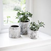 Various Sizes - Ceramic "Withington" Flower Pots Various Sizes - Ceramic "Withington" Flower Pots