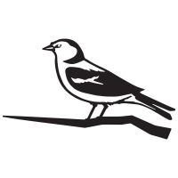 Chaffinch Tree Spike Created From Iron